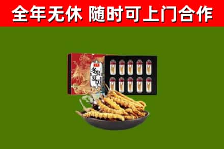 嘉陵烟酒回收冬虫夏草礼盒.jpg