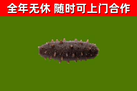 嘉陵烟酒回收干海参.jpg